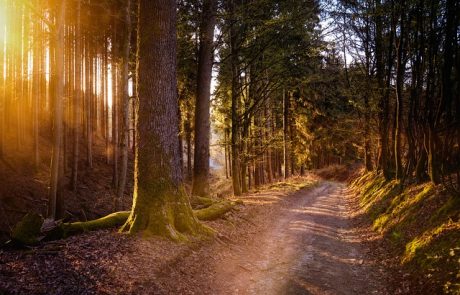 פינלנד למטייל הבודד: 6 מלונות בסוף העולם שכדאי להכיר